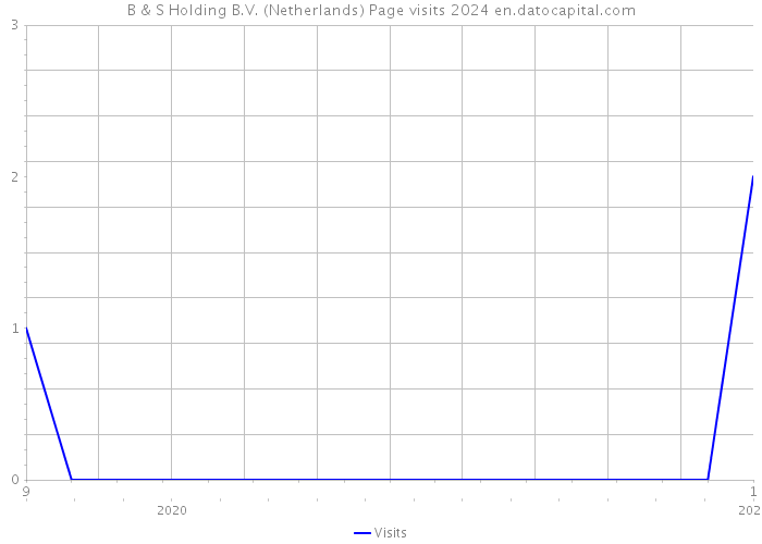 B & S Holding B.V. (Netherlands) Page visits 2024 