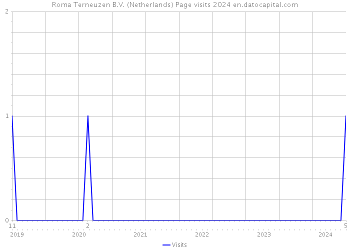 Roma Terneuzen B.V. (Netherlands) Page visits 2024 