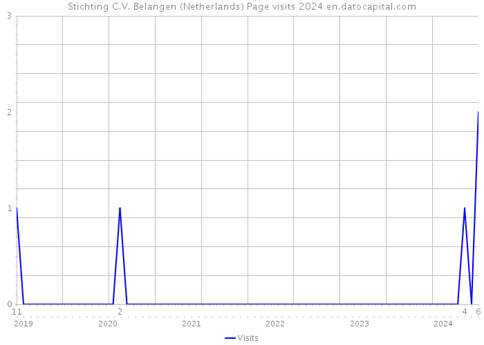 Stichting C.V. Belangen (Netherlands) Page visits 2024 