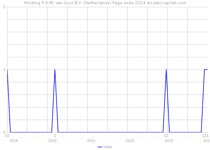 Holding P.A.M. van Gool B.V. (Netherlands) Page visits 2024 