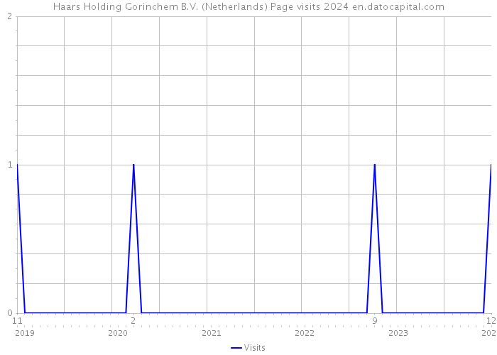 Haars Holding Gorinchem B.V. (Netherlands) Page visits 2024 