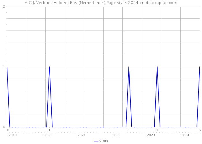 A.C.J. Verbunt Holding B.V. (Netherlands) Page visits 2024 