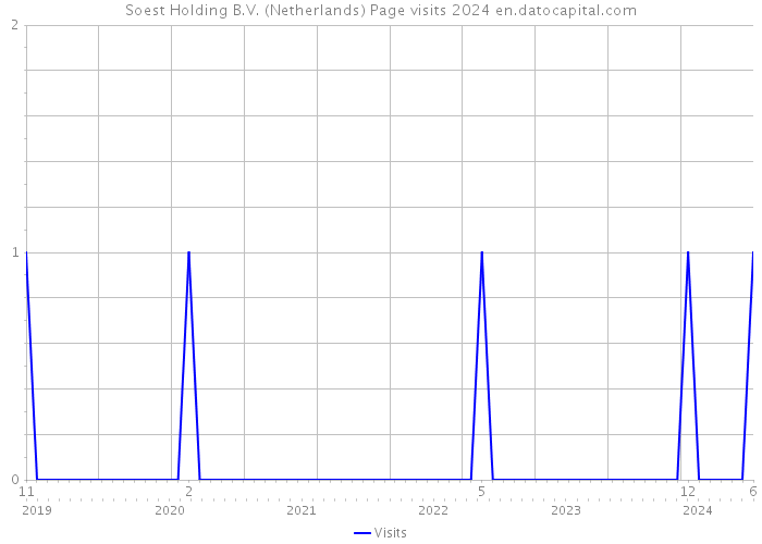 Soest Holding B.V. (Netherlands) Page visits 2024 