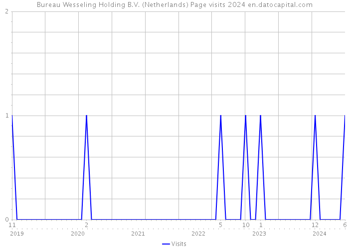 Bureau Wesseling Holding B.V. (Netherlands) Page visits 2024 