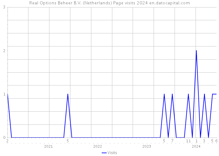 Real Options Beheer B.V. (Netherlands) Page visits 2024 
