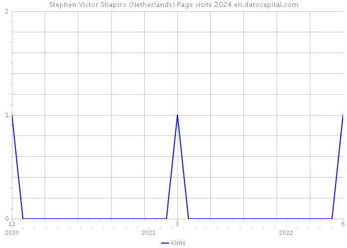 Stephen Victor Shapiro (Netherlands) Page visits 2024 