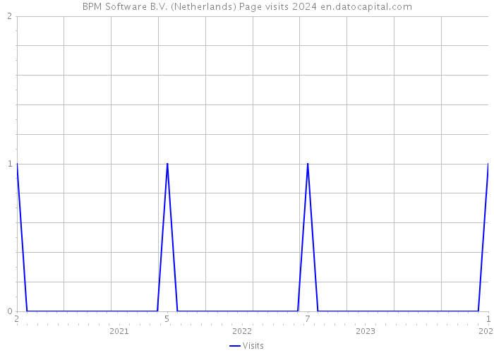 BPM Software B.V. (Netherlands) Page visits 2024 