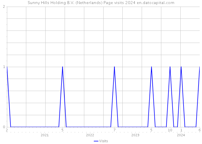 Sunny Hills Holding B.V. (Netherlands) Page visits 2024 