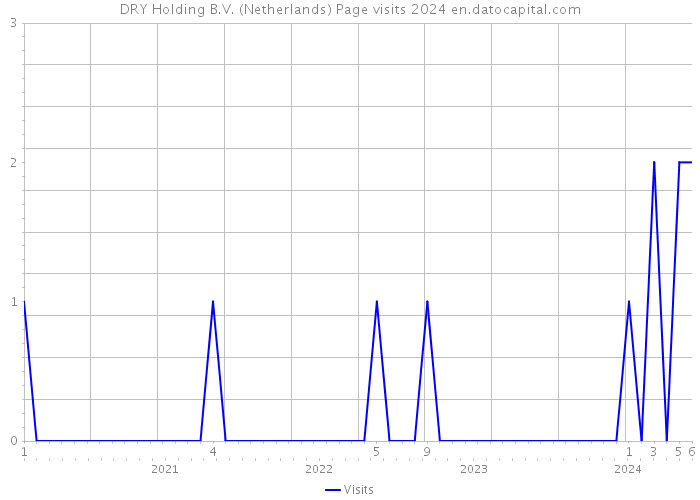 DRY Holding B.V. (Netherlands) Page visits 2024 
