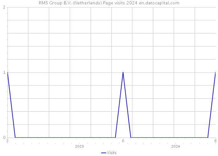 RMS Group B.V. (Netherlands) Page visits 2024 