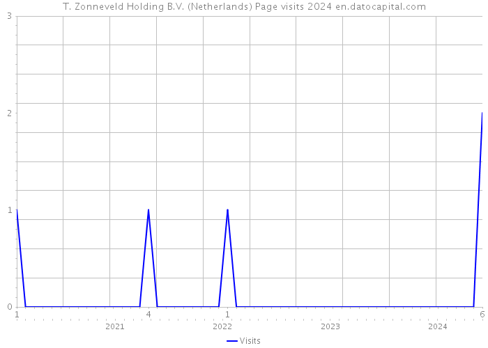 T. Zonneveld Holding B.V. (Netherlands) Page visits 2024 