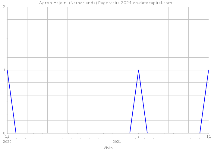 Agron Hajdini (Netherlands) Page visits 2024 