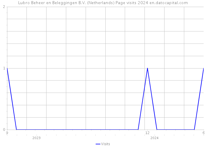 Lubro Beheer en Beleggingen B.V. (Netherlands) Page visits 2024 