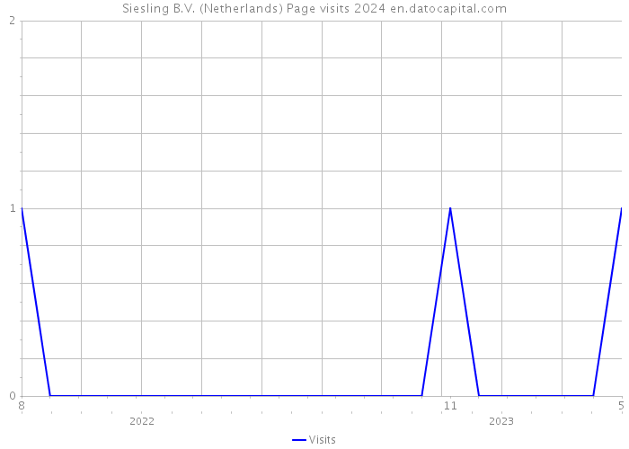Siesling B.V. (Netherlands) Page visits 2024 