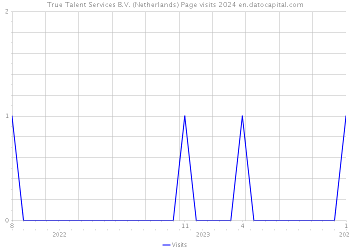 True Talent Services B.V. (Netherlands) Page visits 2024 
