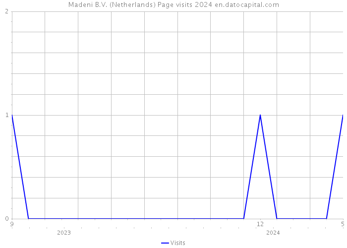 Madeni B.V. (Netherlands) Page visits 2024 