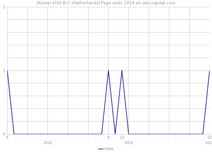 Mulder KNO B.V. (Netherlands) Page visits 2024 