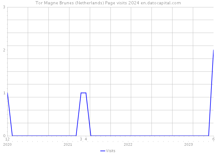 Tor Magne Brunes (Netherlands) Page visits 2024 