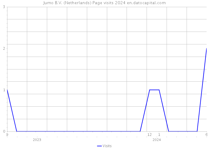 Jumo B.V. (Netherlands) Page visits 2024 