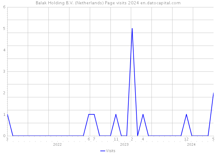 Balak Holding B.V. (Netherlands) Page visits 2024 