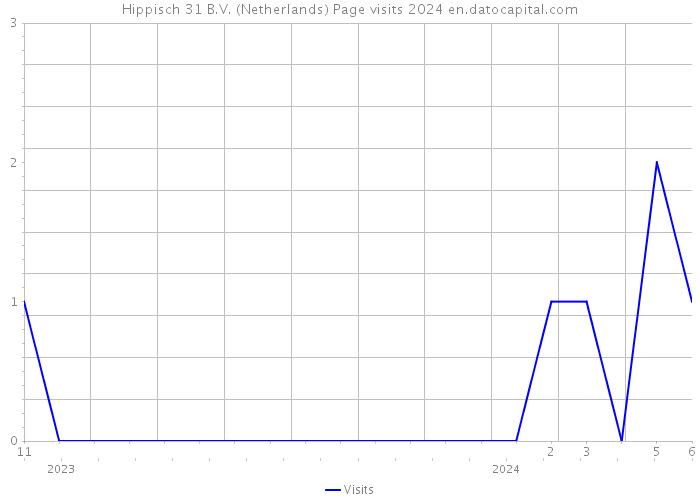 Hippisch 31 B.V. (Netherlands) Page visits 2024 