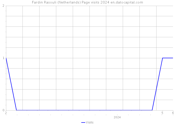 Fardin Rasouli (Netherlands) Page visits 2024 