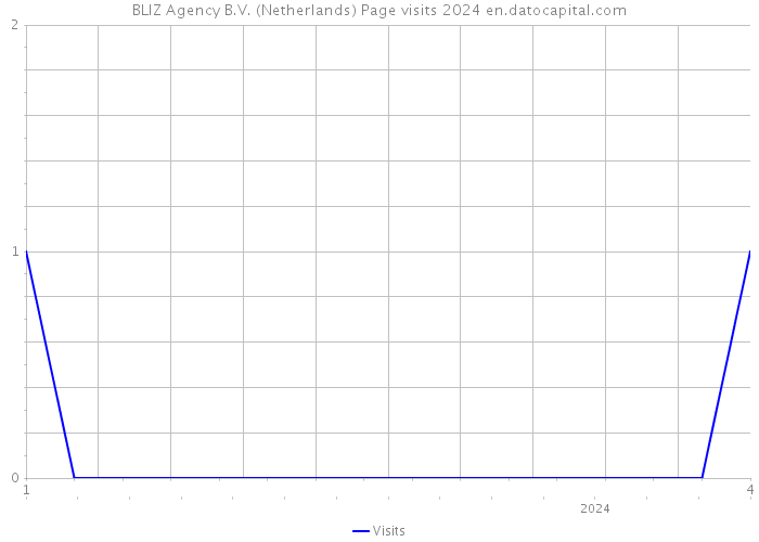 BLIZ Agency B.V. (Netherlands) Page visits 2024 