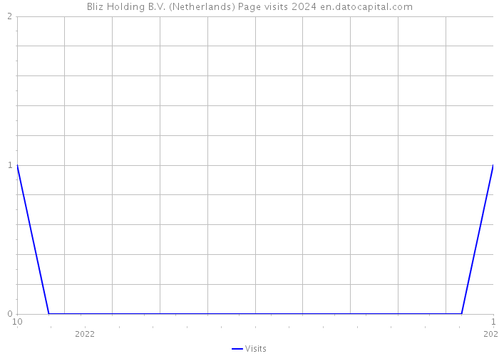 Bliz Holding B.V. (Netherlands) Page visits 2024 