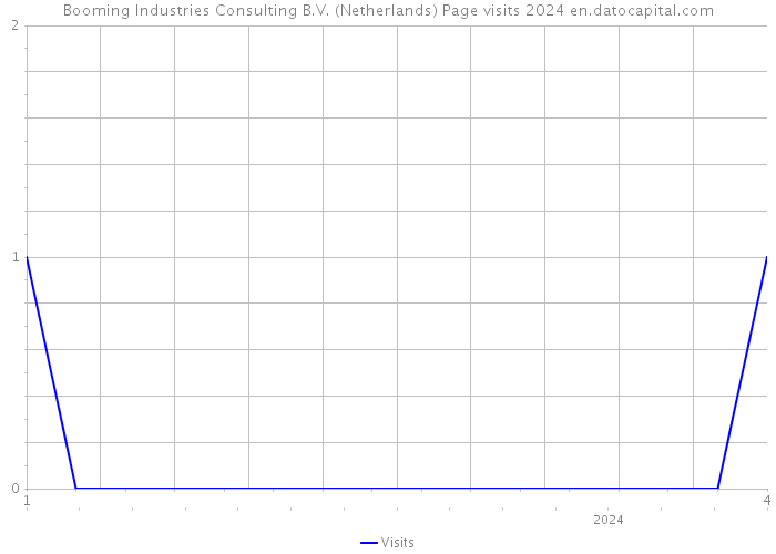 Booming Industries Consulting B.V. (Netherlands) Page visits 2024 