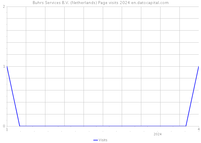 Buhrs Services B.V. (Netherlands) Page visits 2024 