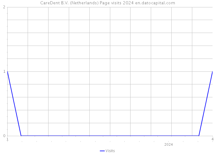 CareDent B.V. (Netherlands) Page visits 2024 