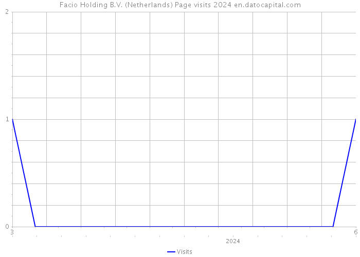 Facio Holding B.V. (Netherlands) Page visits 2024 