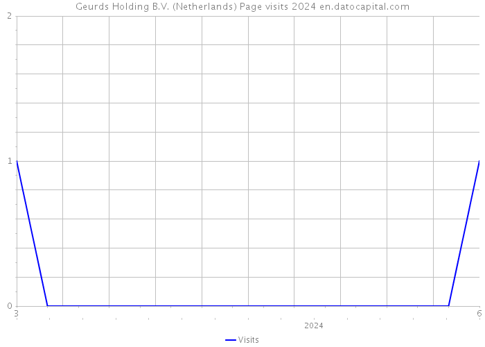 Geurds Holding B.V. (Netherlands) Page visits 2024 