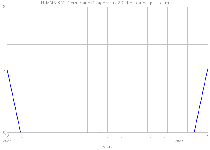 LUMMA B.V. (Netherlands) Page visits 2024 