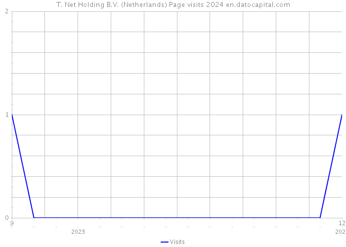 T. Net Holding B.V. (Netherlands) Page visits 2024 