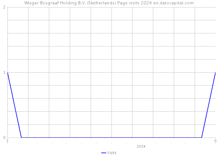 Wieger Bosgraaf Holding B.V. (Netherlands) Page visits 2024 