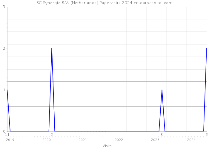 SC Synergie B.V. (Netherlands) Page visits 2024 