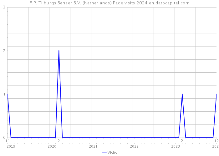 F.P. Tilburgs Beheer B.V. (Netherlands) Page visits 2024 