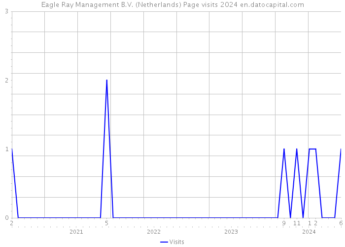 Eagle Ray Management B.V. (Netherlands) Page visits 2024 