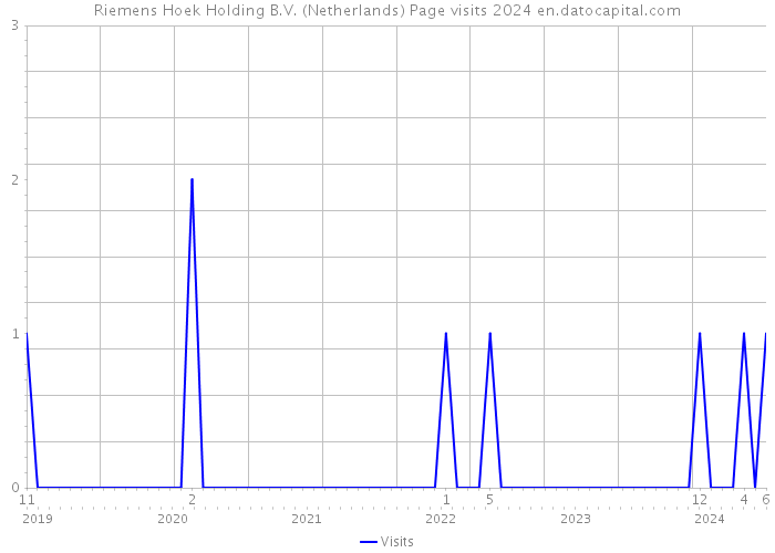 Riemens Hoek Holding B.V. (Netherlands) Page visits 2024 