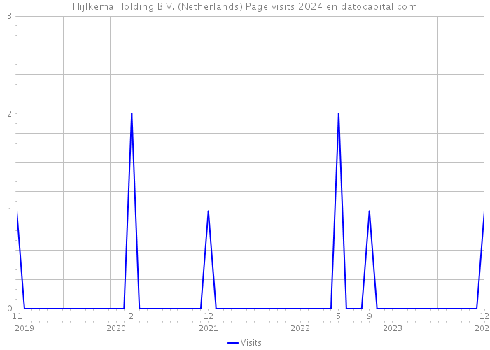 Hijlkema Holding B.V. (Netherlands) Page visits 2024 
