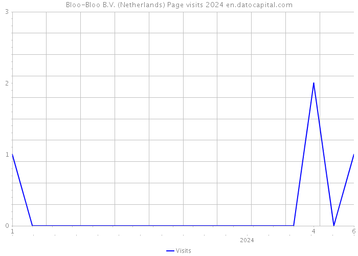 Bloo-Bloo B.V. (Netherlands) Page visits 2024 