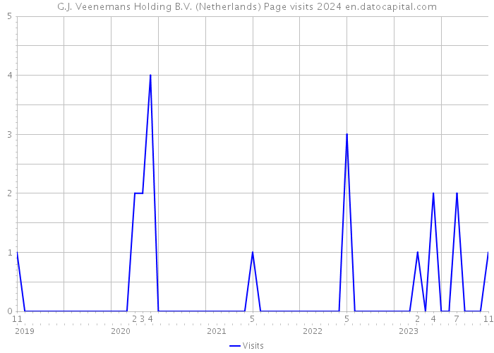G.J. Veenemans Holding B.V. (Netherlands) Page visits 2024 