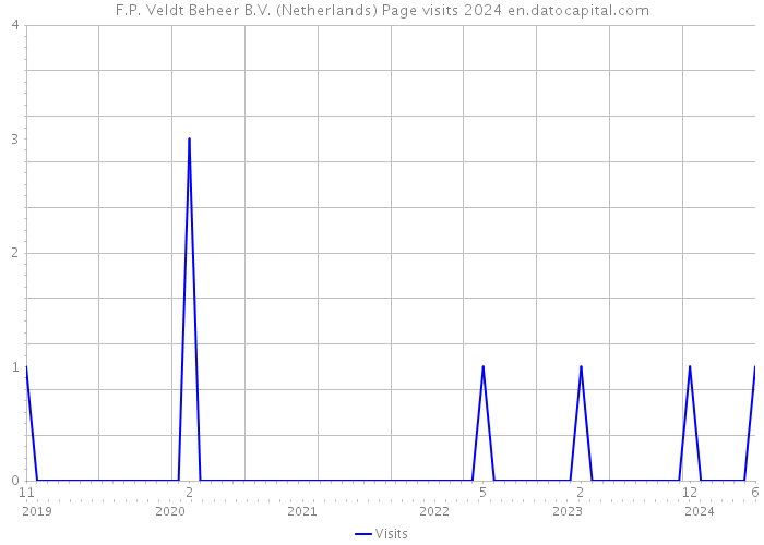 F.P. Veldt Beheer B.V. (Netherlands) Page visits 2024 