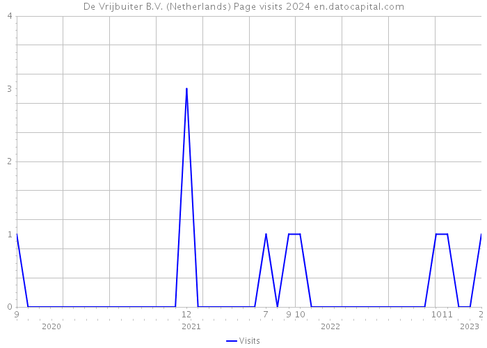 De Vrijbuiter B.V. (Netherlands) Page visits 2024 