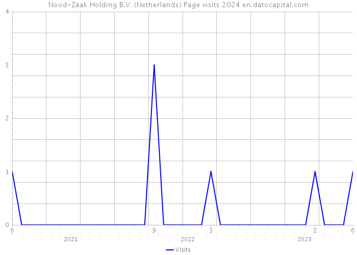 Nood-Zaak Holding B.V. (Netherlands) Page visits 2024 