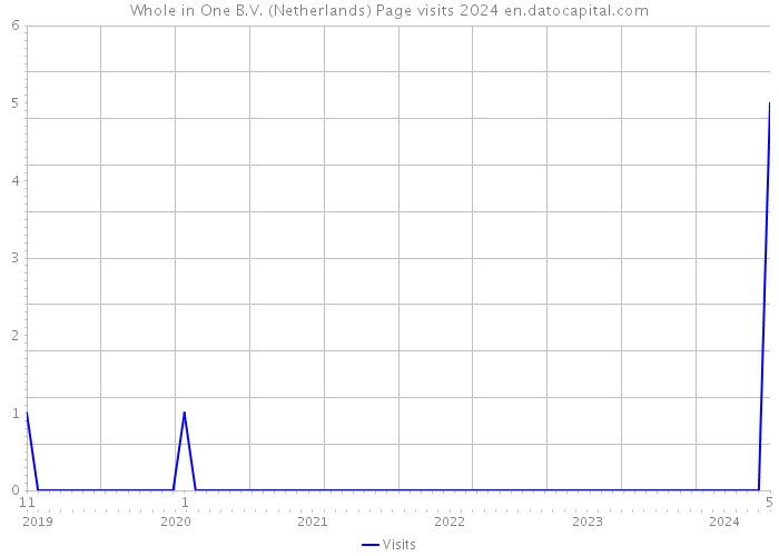 Whole in One B.V. (Netherlands) Page visits 2024 