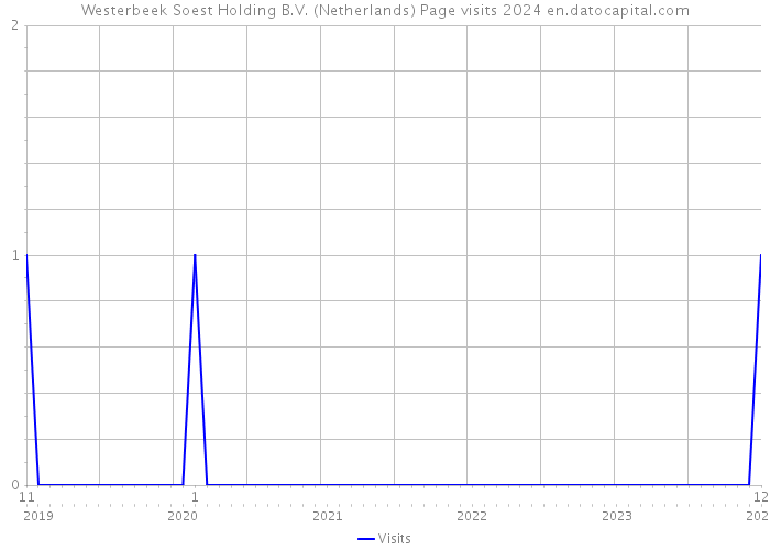 Westerbeek Soest Holding B.V. (Netherlands) Page visits 2024 