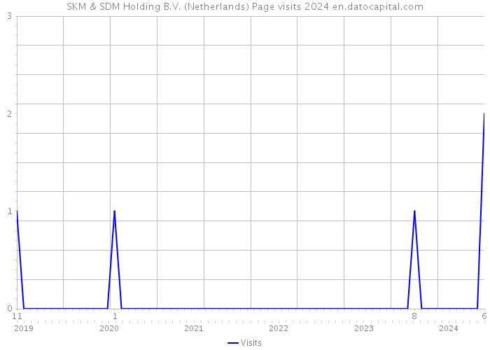 SKM & SDM Holding B.V. (Netherlands) Page visits 2024 