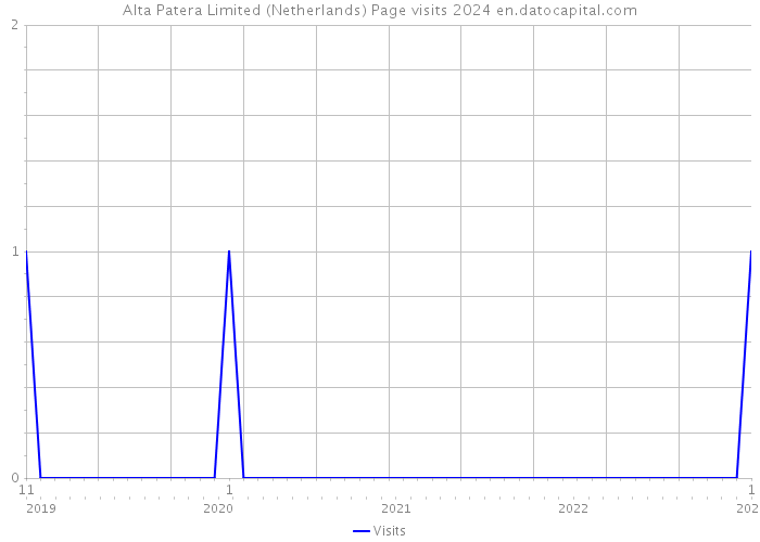 Alta Patera Limited (Netherlands) Page visits 2024 